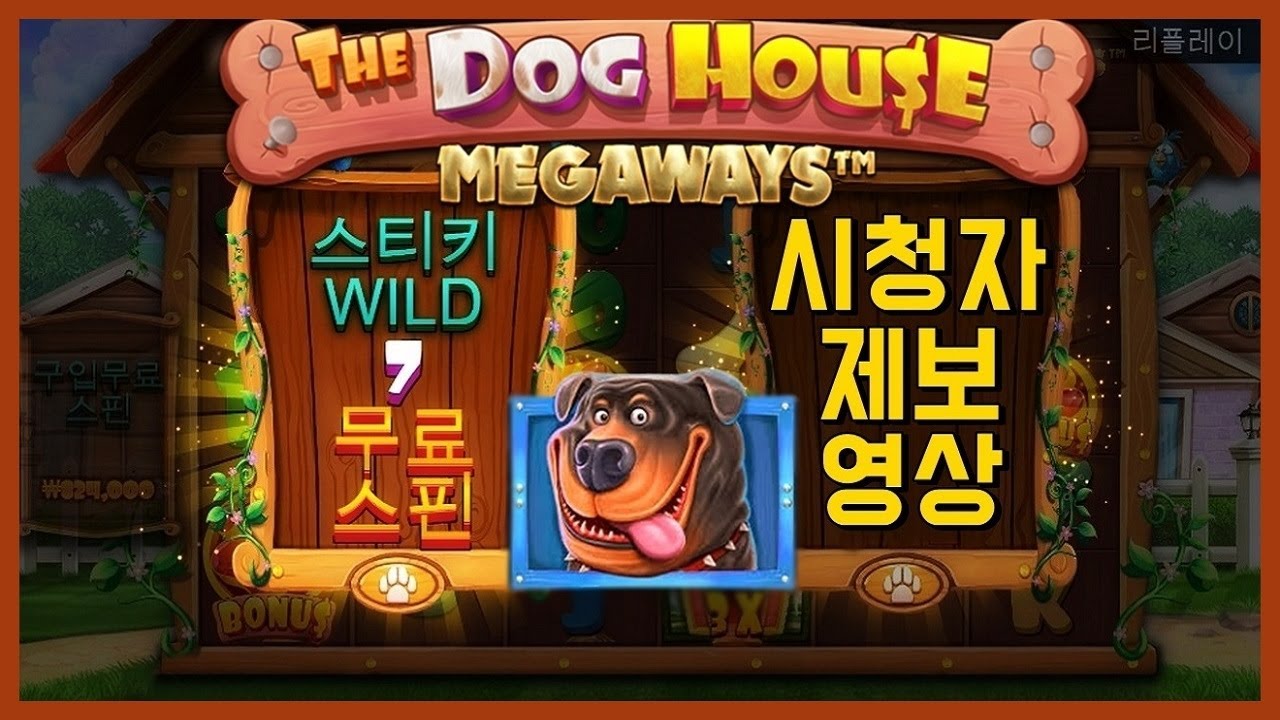 슬롯머신] 더 도그 하우스 메가웨이 : The Dog House Megaways - 스티키 Wild 7 무료 스핀 (시청자 제보영상)  - Youtube