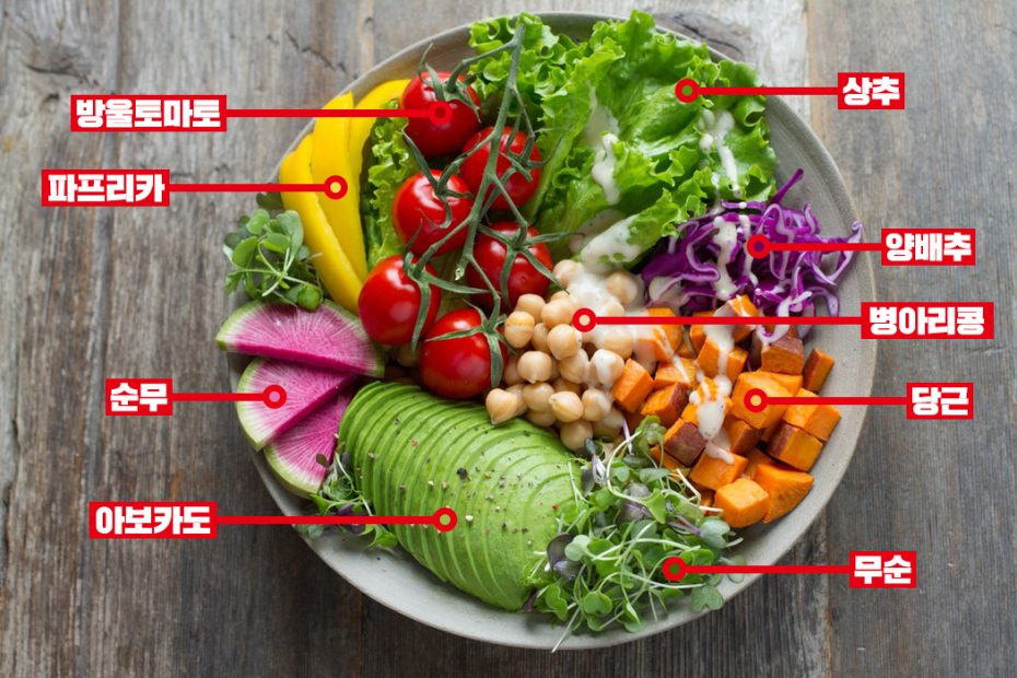 사진 속 모든 채소를 영어로 말할 수 있나요? 3초 안에 생각나지 않았다면 클릭! | Engoo 블로그