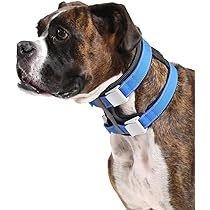 Cesar Millan Pack Leader Collar™ - Training Collar Of The Dog Whisperer -  Medium, Blue : Amazon.Co.Uk: Pet Supplies