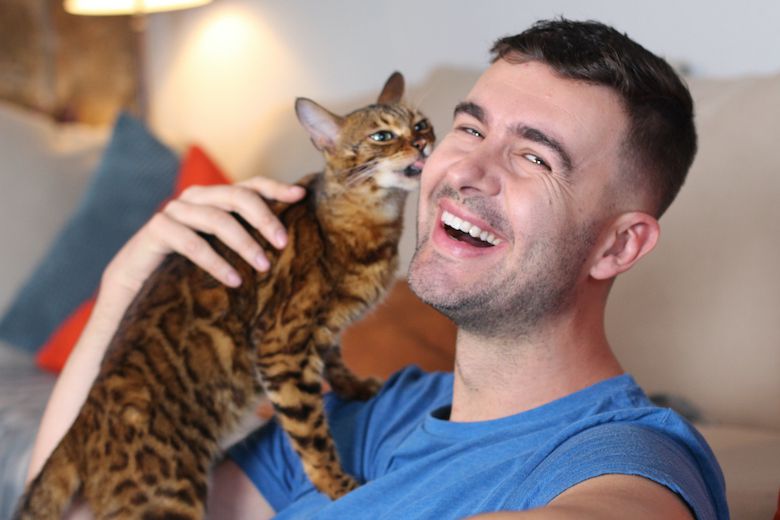 Is It Ok To Let A Cat Lick You? Understanding Feline Affection