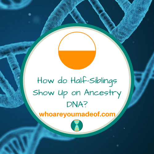 How Do Half-Siblings Show Up On Ancestry Dna? - Who Are You Made Of?