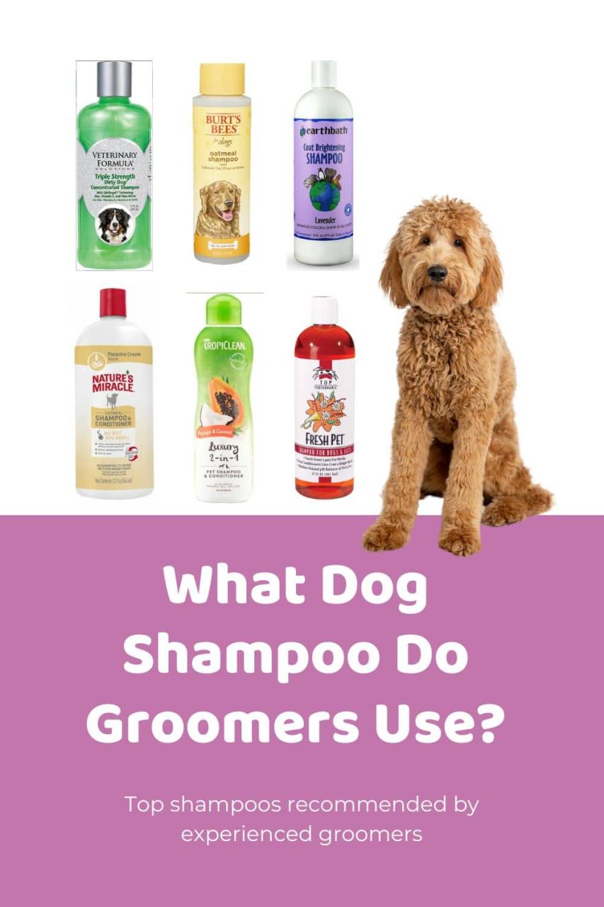 What Do Groomers Use To Bathe Dogs Essential Tips