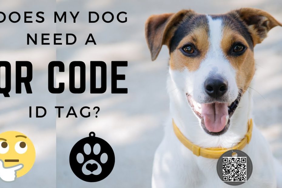 Does My Dog Need A Qr Code Id Tag? - First Street Pets