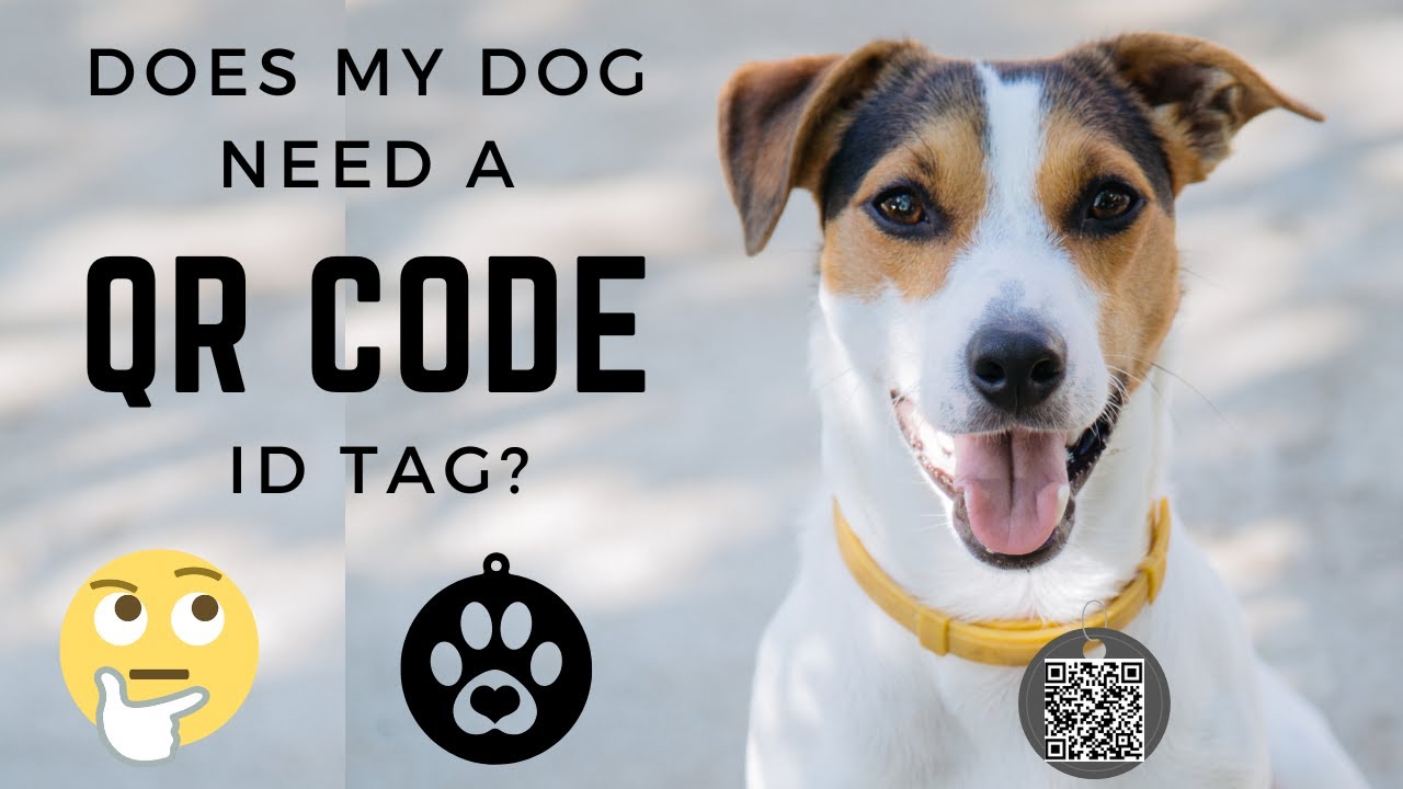 Do Dogs Need To Wear A Rabies Tag? Unraveling The Necessity